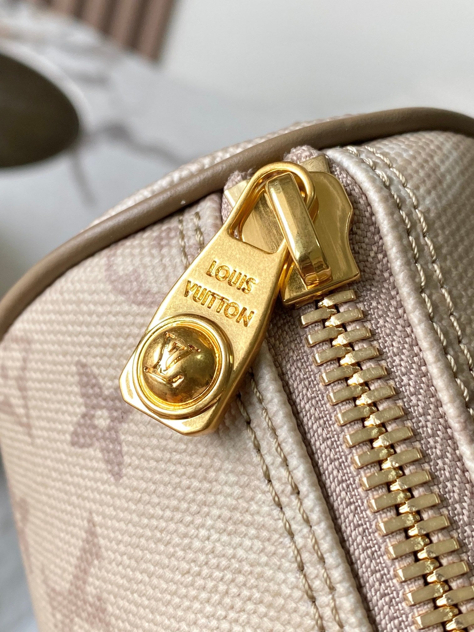 LV Handbag 25