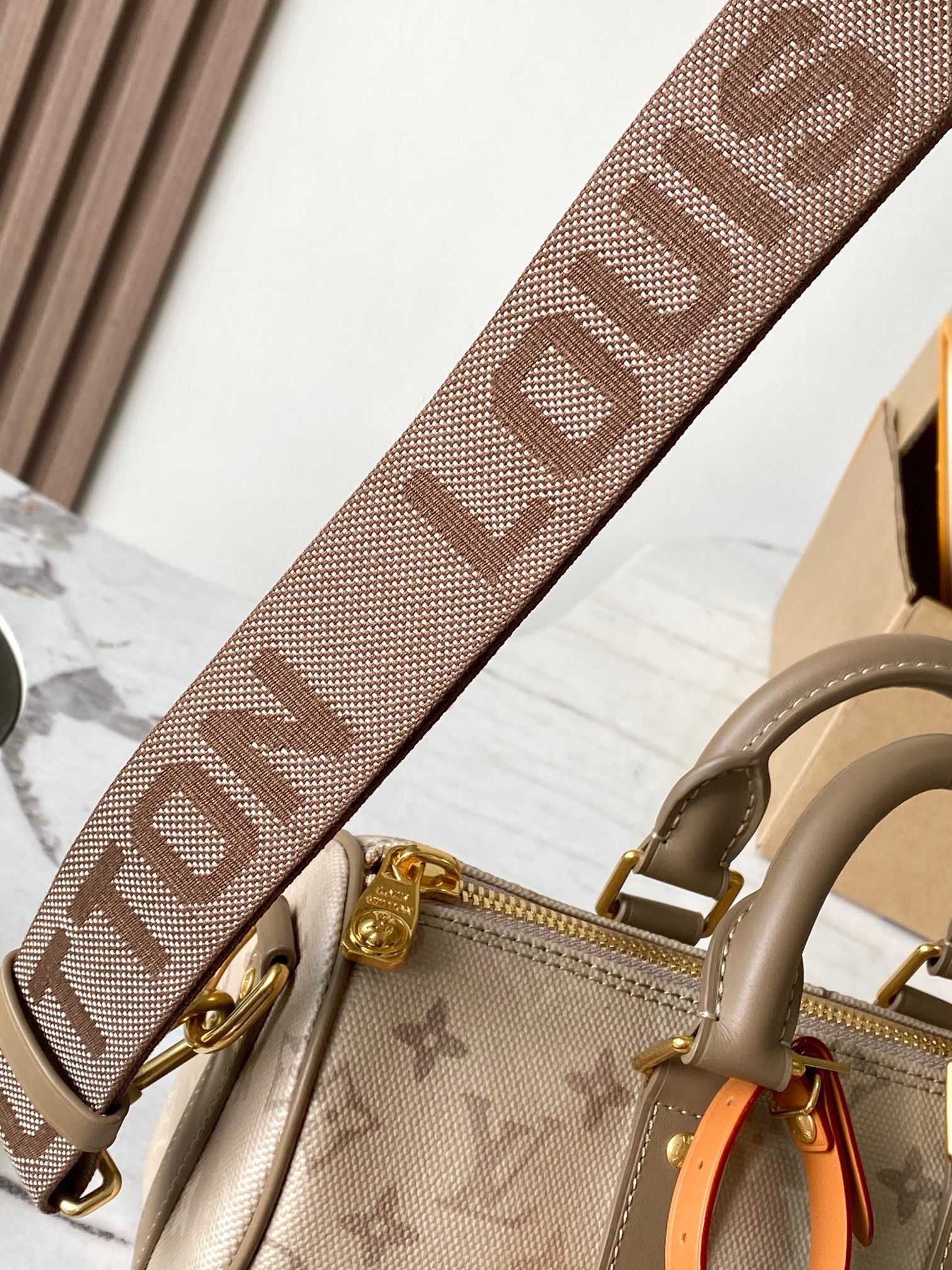 LV Handbag 25