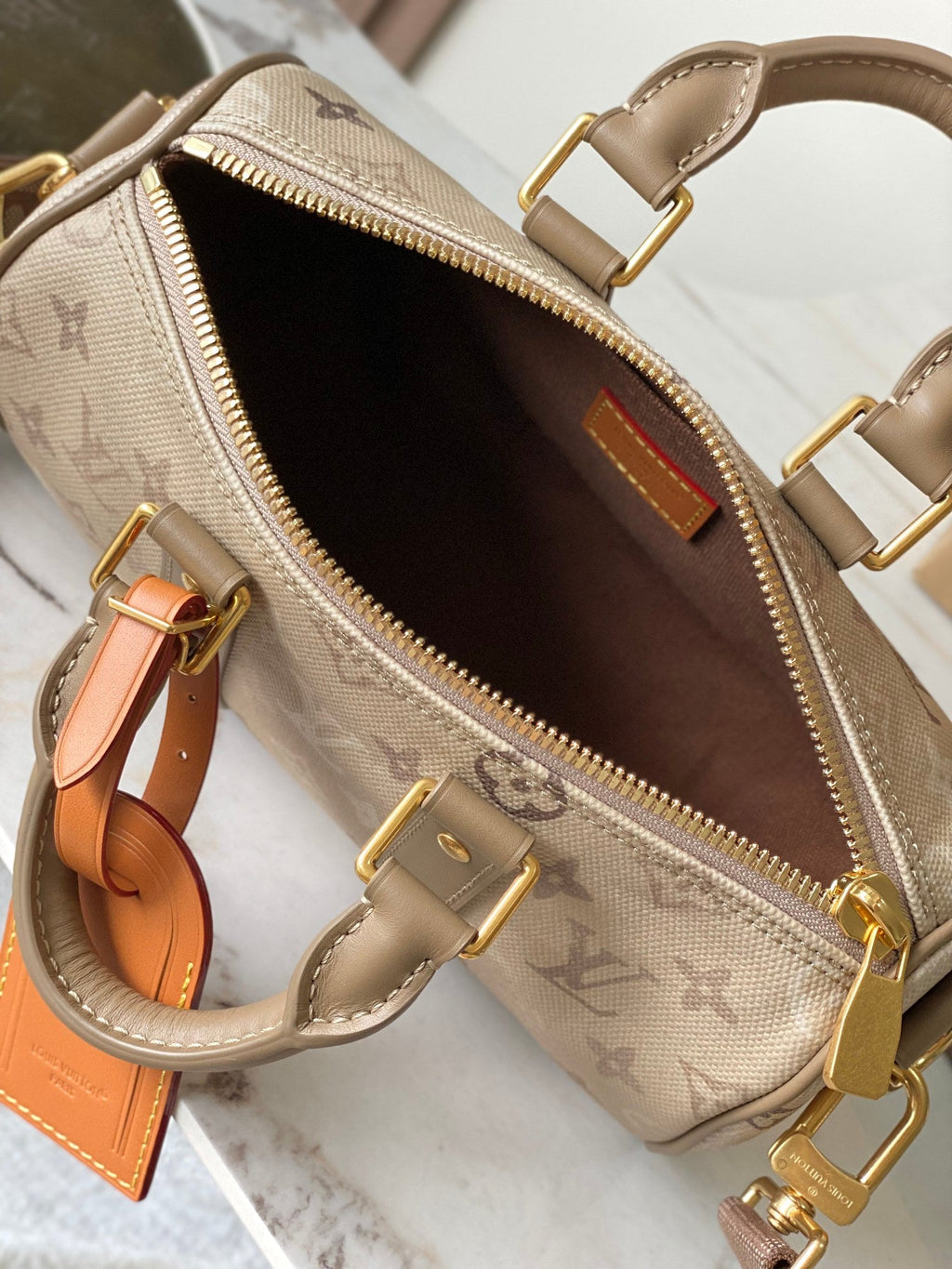 LV Handbag 25