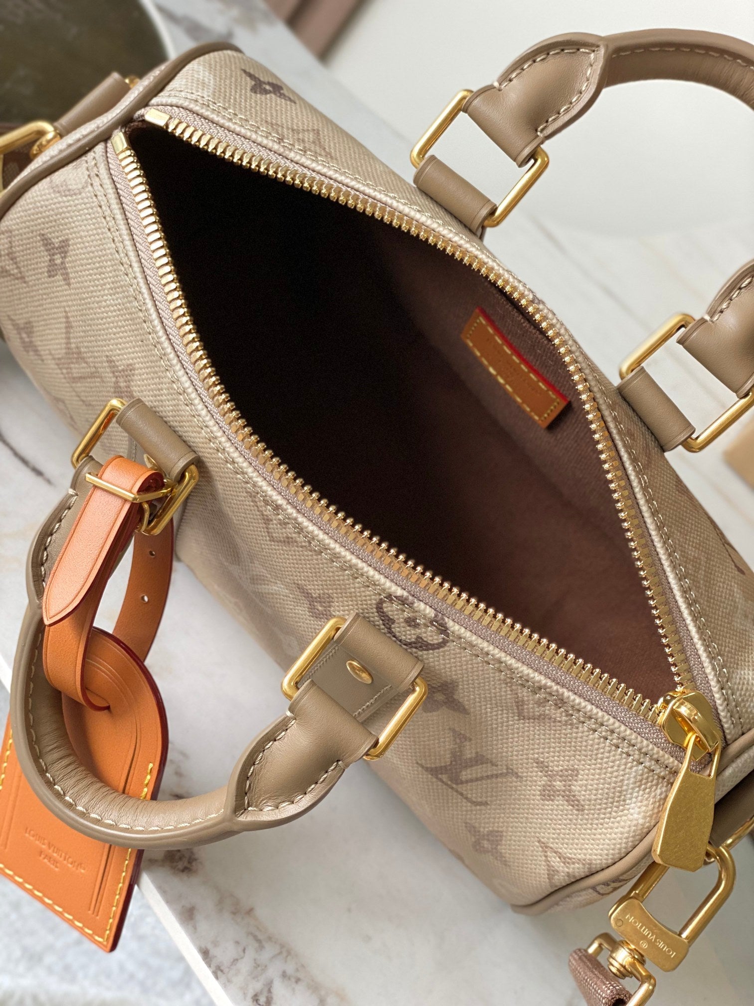 LV Handbag 25